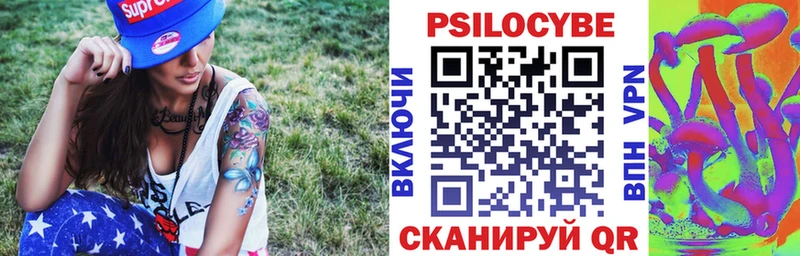 магазин    Куртамыш  нарко площадка формула  Галлюциногенные грибы MAGIC MUSHROOMS 